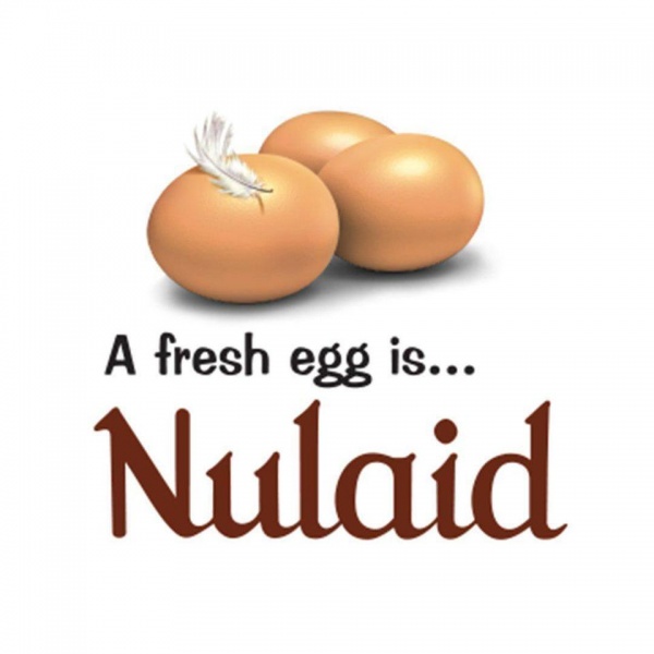 Nulaid Durban South Africa Contact Phone Address